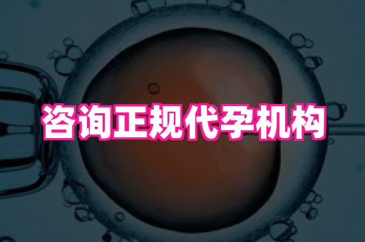 权威助孕网 1