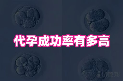 权威助孕网 3